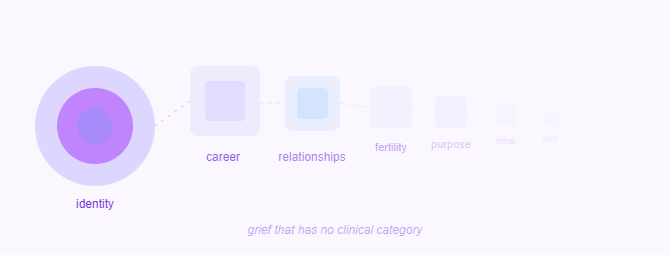 Abstract illustration showing shapes that grow smaller and more transparent from left to right, labelled with words including identity, career, relationships, fertility, purpose, time, and self — fading as they drift away. A caption reads: grief that has no clinical category.