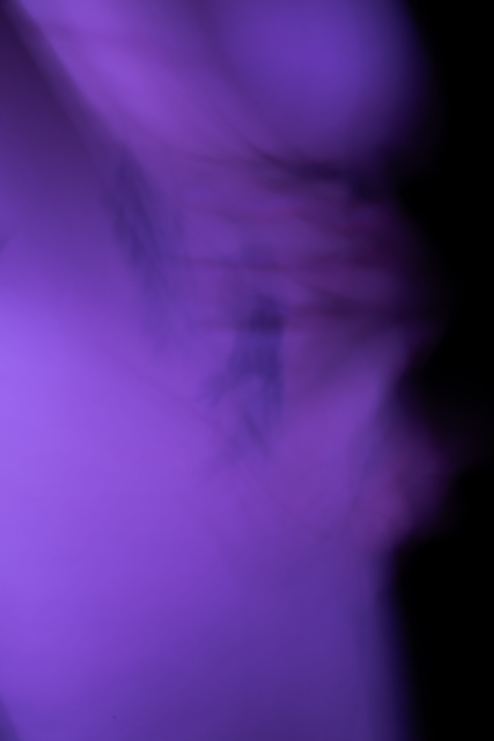 20260305_Anna Marie_Endo South Coast x Phoebe Wingrove_LR-35