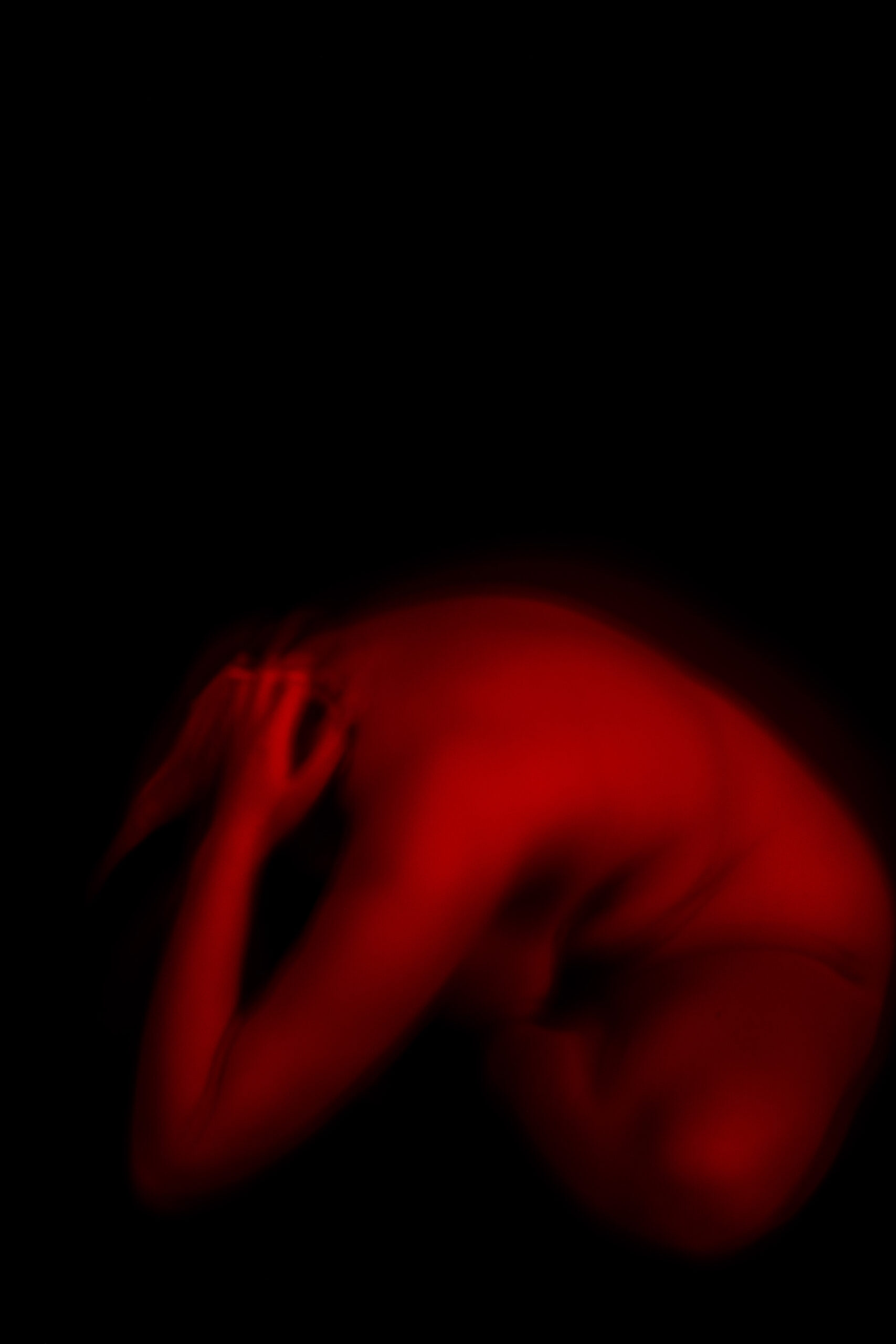 20260305_Christie_Endo South Coast x Phoebe Wingrove_LR-11