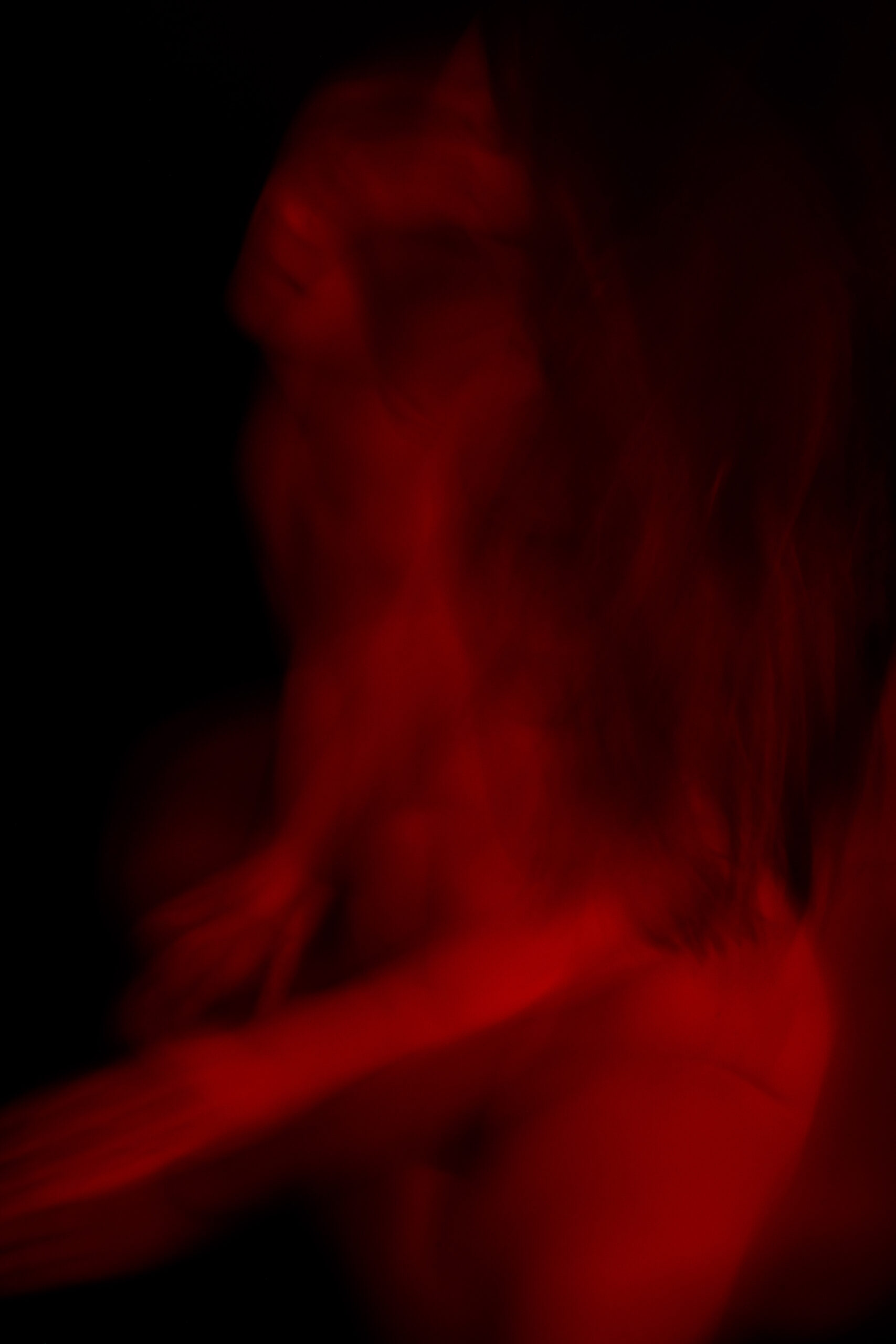 20260305_Christie_Endo South Coast x Phoebe Wingrove_LR-13