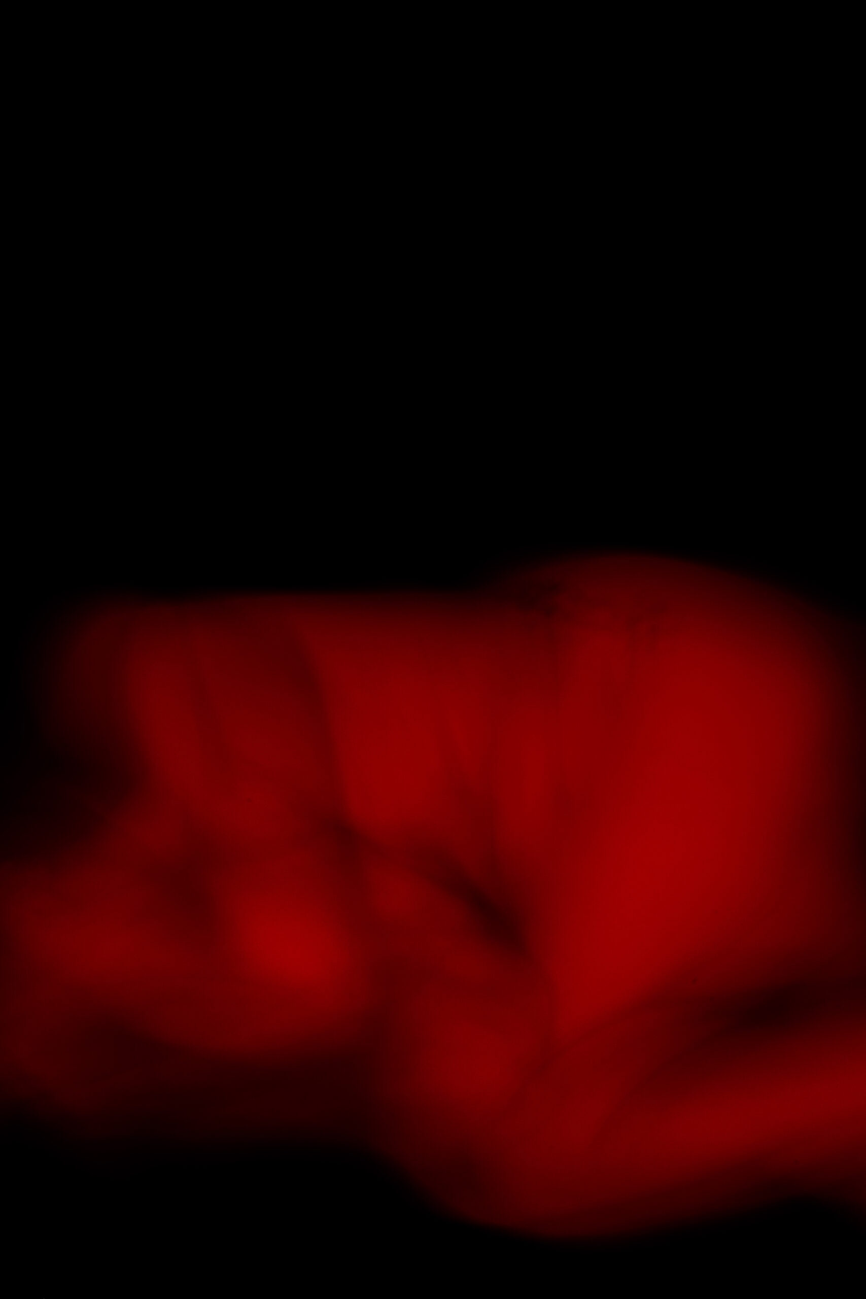 20260305_Christie_Endo South Coast x Phoebe Wingrove_LR-31