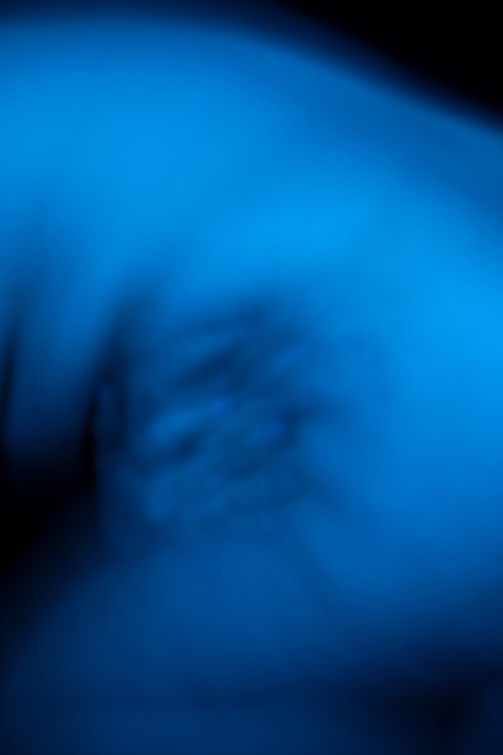 20260313_Sandy_Endo South Coast x Phoebe Wingrove_LR-124