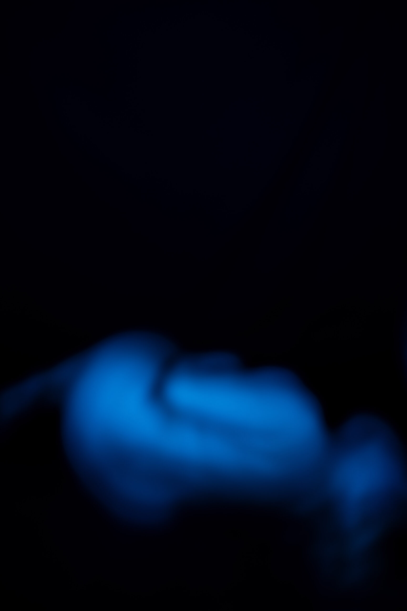 20260313_Sandy_Endo South Coast x Phoebe Wingrove_LR-76