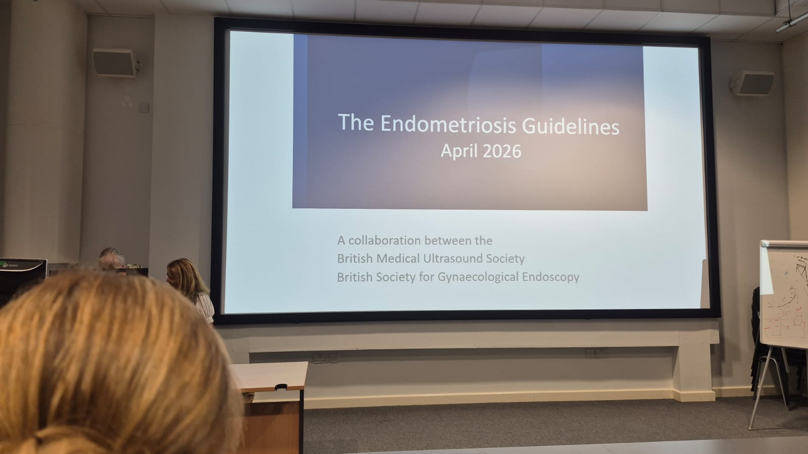swita-endometriosis-adenomyosis-training-day-4